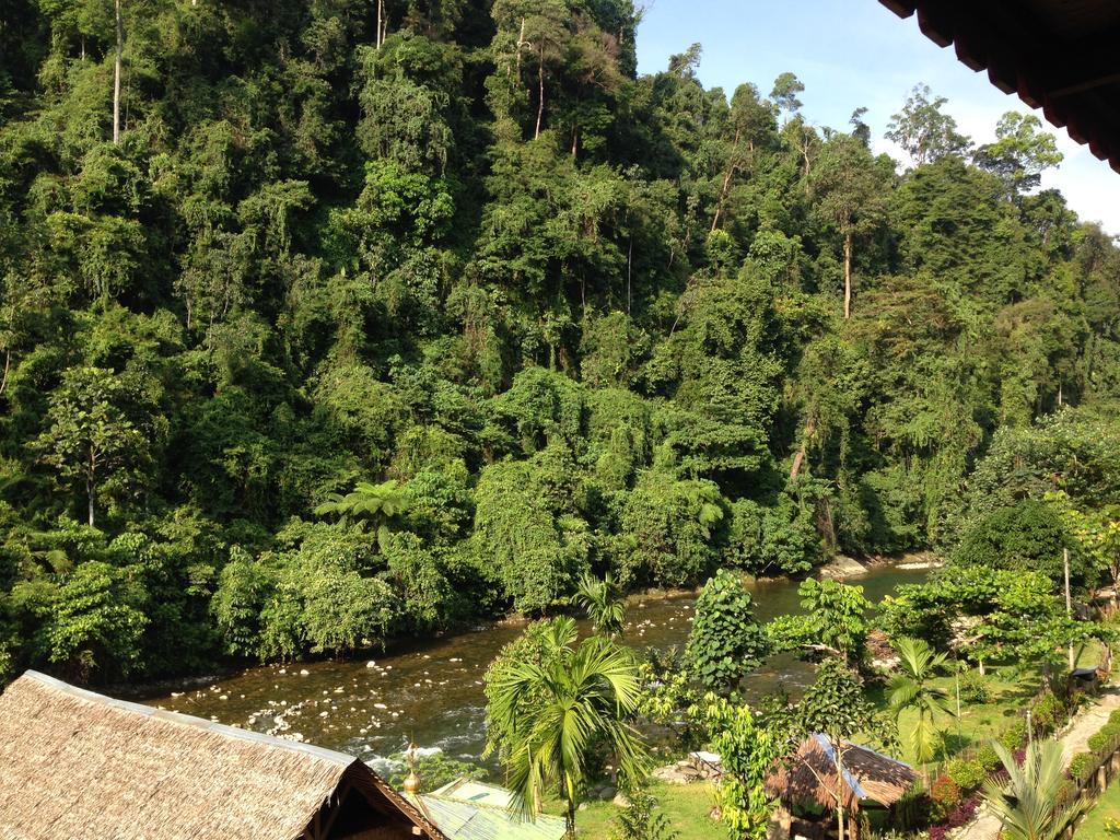 Riverside Guesthouse Bukit Lawang Bagian luar foto